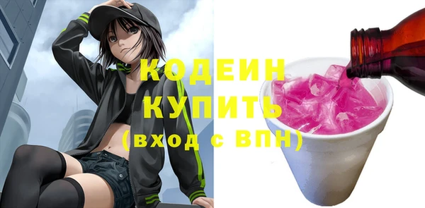соль ск Елизово