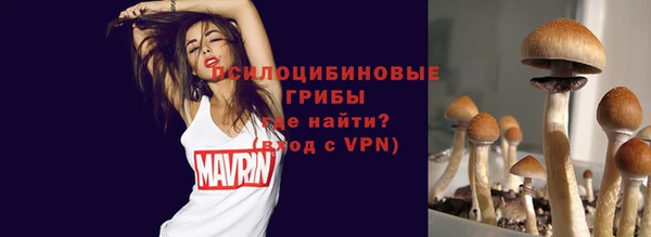 соль ск Елабуга