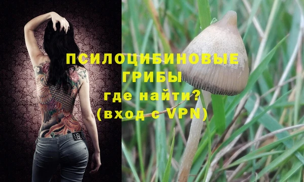соль ск Елабуга