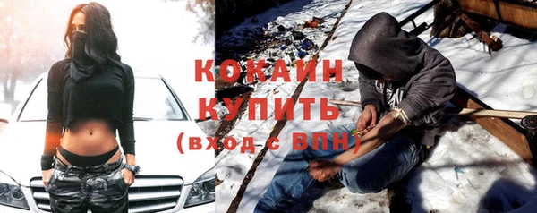 соль ск Елабуга