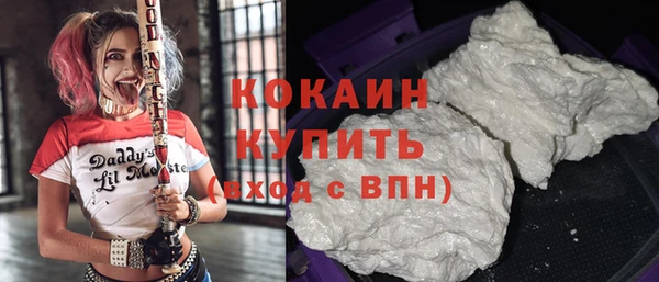 соль ск Елизово