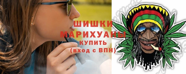соль ск Елабуга