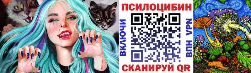 гидра сайт  маркетплейс клад  Псилоцибиновые грибы Psilocybe  магазин продажи   Канск 