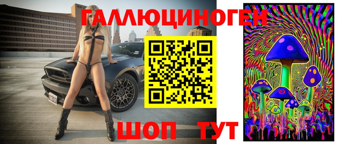 Псилоцибиновые грибы Psilocybe  Вход с VPN  Канск 
