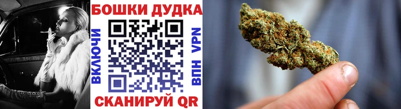 Конопля индика  Канск 
